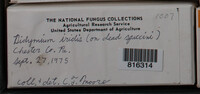 Image Associated With the Occurence